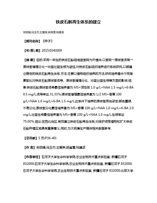 铁皮石斛再生体系的建立