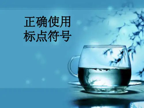 正确使用标点符号大全课件
