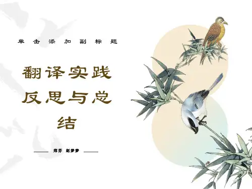 翻译实践反思与总结