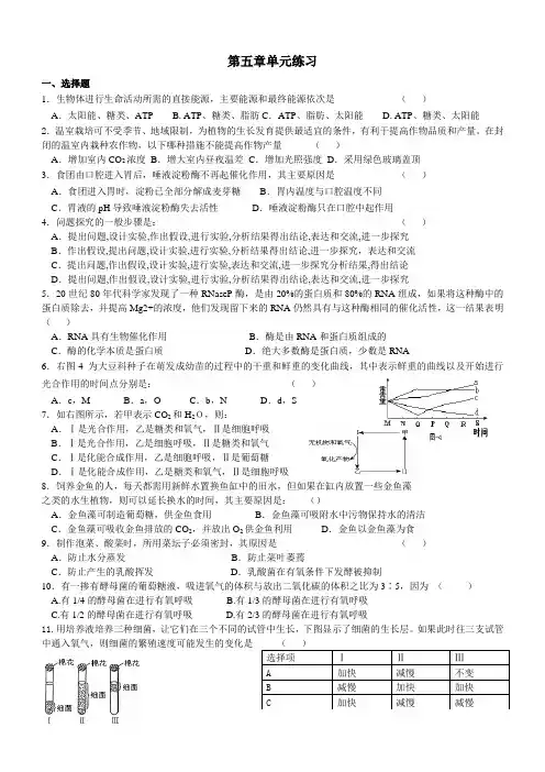 高中生物必修一第五章 细胞的能量量供应和利用 练习题