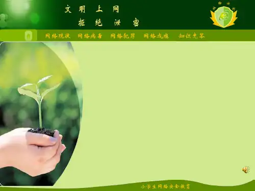 中小学幼儿园精品优质校园安全教育公开课班会队会讲座课件 网络安全(文明上网,拒绝泄密)(二等奖)20