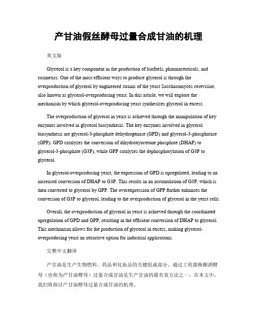 产甘油假丝酵母过量合成甘油的机理