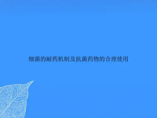 细菌的耐药机制及抗菌药物的合理使用【优质最全版】