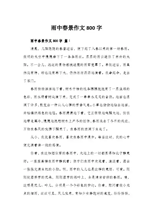 雨中春景作文800字