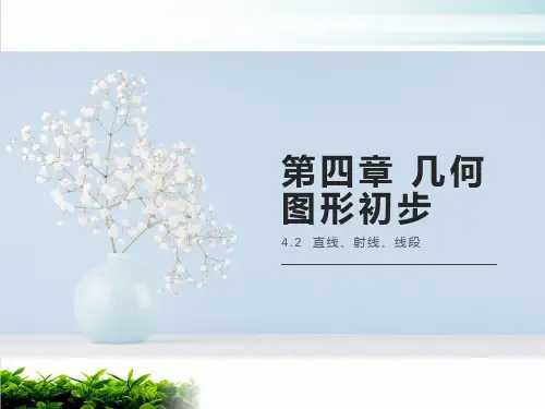 《几何图形初步》ppt人教版1