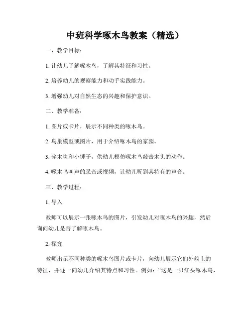 中班科学啄木鸟教案(精选)