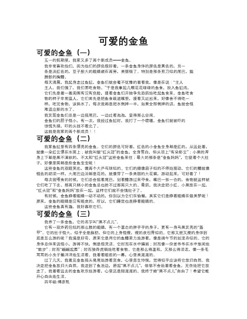 可爱的金鱼作文共九篇