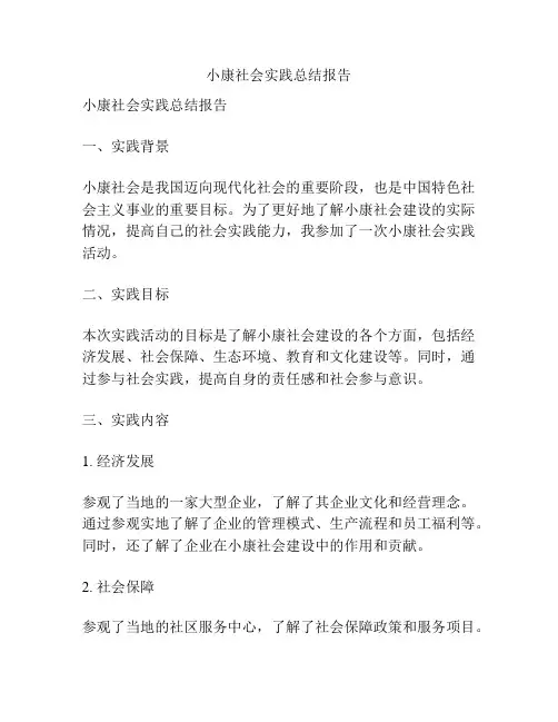 小康社会实践总结报告