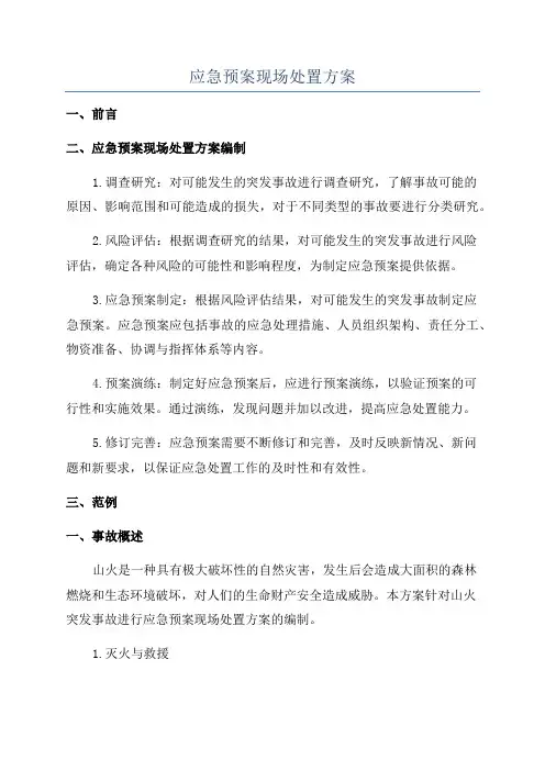 应急预案现场处置方案