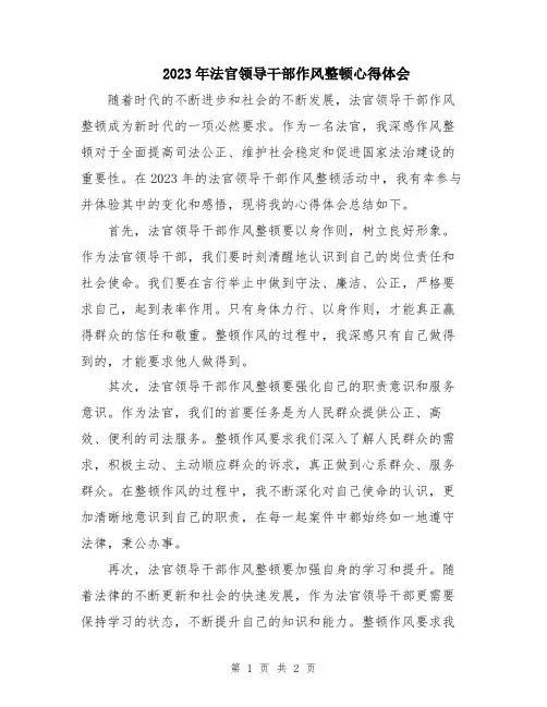 2023年法官领导干部作风整顿心得体会