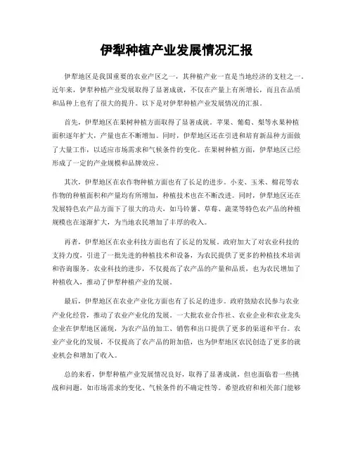 伊犁种植产业发展情况汇报