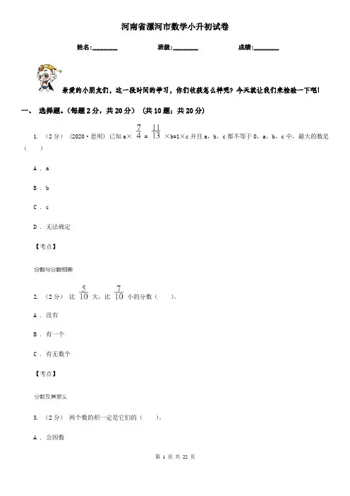 河南省漯河市数学小升初试卷
