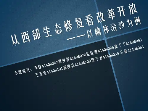 毛概作业ppt