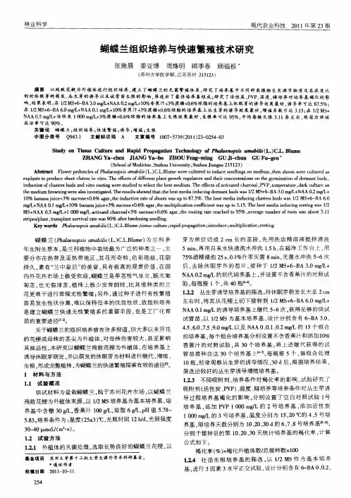 蝴蝶兰组织培养与快速繁殖技术研究