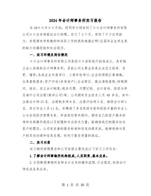 2024年会计师事务所实习报告（六篇）