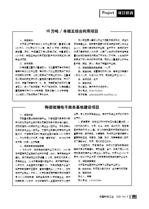 10万吨年碳五综合利用项目