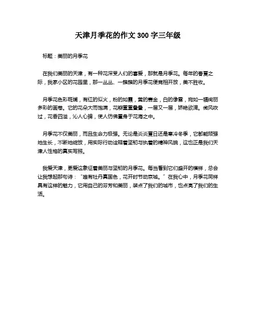 天津月季花的作文300字三年级
