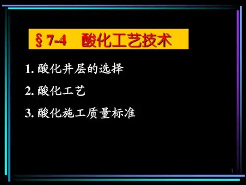7.4酸化工艺本03
