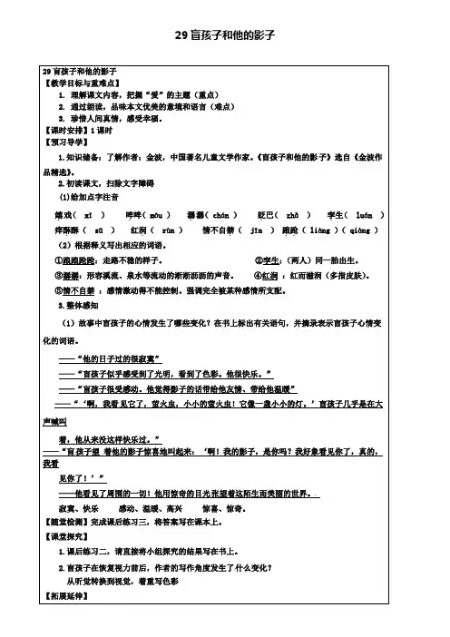 七年级语文上册 第29课《盲孩子和他的影子》教学案