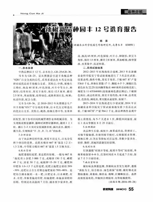 辣椒新品种园丰12号选育报告