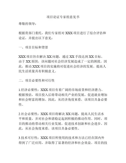 项目论证专家组意见书