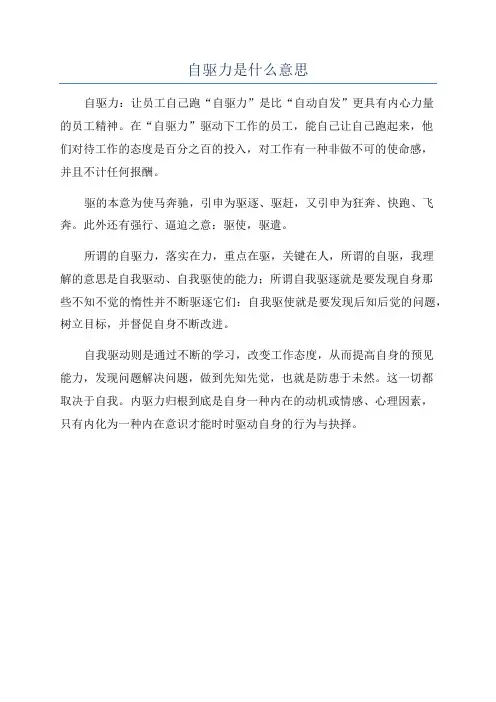 自驱力是什么意思