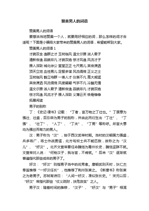 赞美男人的词语