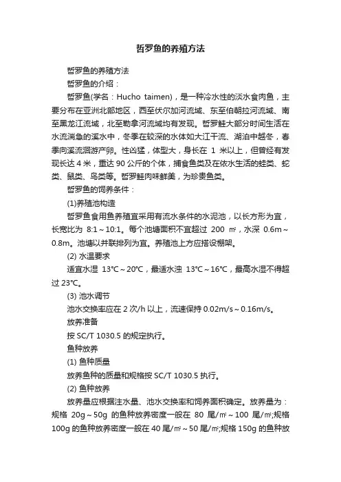 哲罗鱼的养殖方法