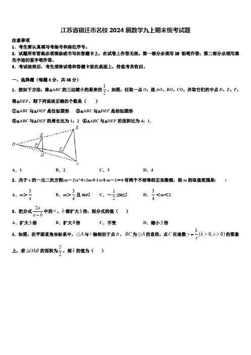 江苏省宿迁市名校2024届数学九上期末统考试题含解析