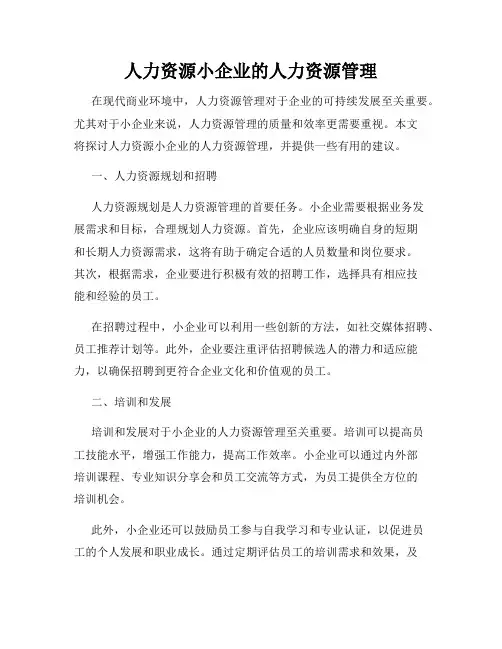人力资源小企业的人力资源管理