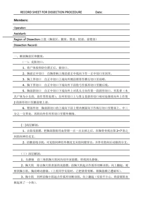 解剖实习报告上肢
