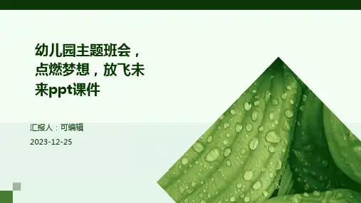 幼儿园主题班会, 点燃梦想,放飞未来ppt课件 (2)