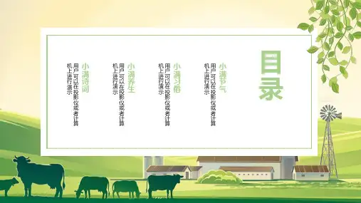 简约二十四节气小满节气教学课件PPT模板