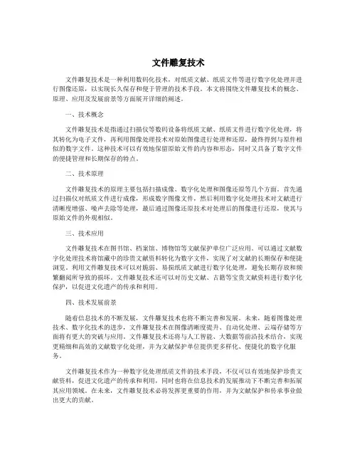 文件雕复技术
