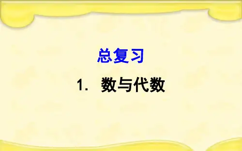 北师大版五年级数学下册总复习1数与代数 