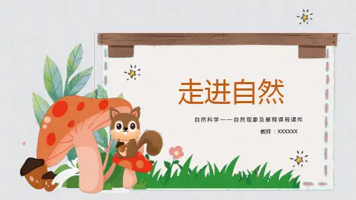 《自然》教学课件PPT