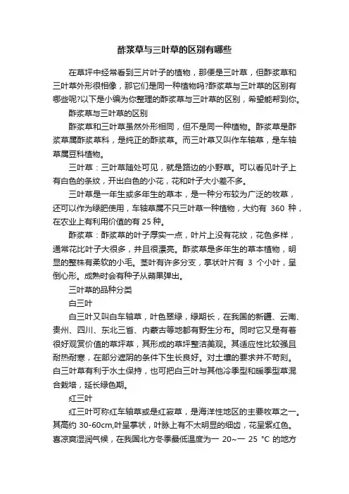 酢浆草与三叶草的区别有哪些