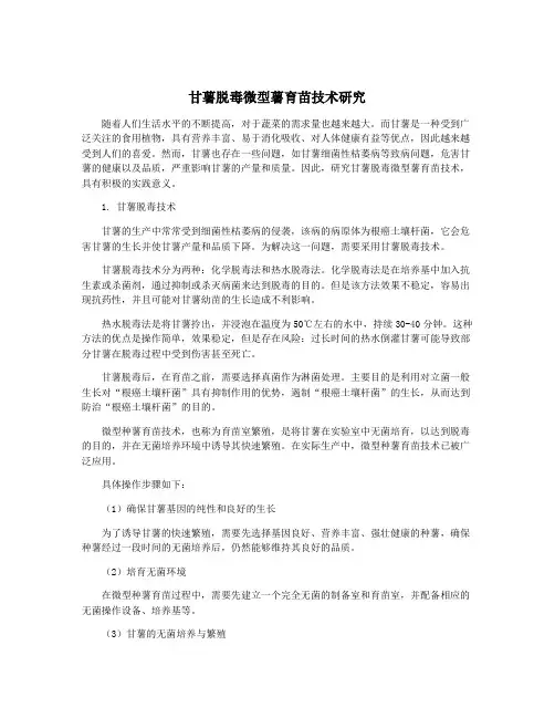 甘薯脱毒微型薯育苗技术研究