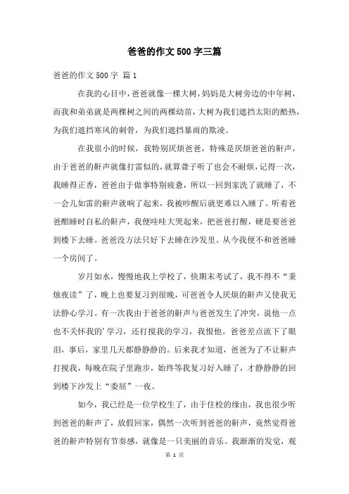 爸爸的作文500字三篇
