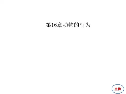 北师大版八年级生物上册 第16章动物的行为复习课件(54张PPT)