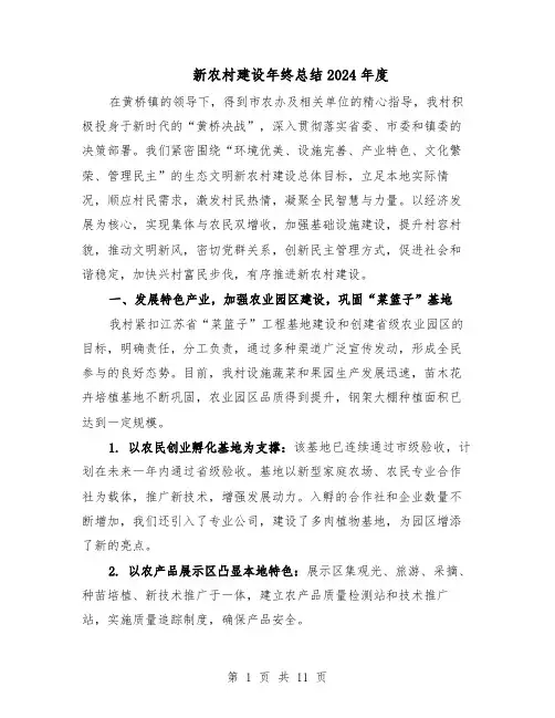 新农村建设年终总结2024年度（六篇）