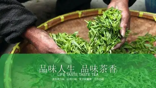 茶文化宣传介绍总结PPT模板