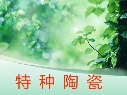 特   种   陶   瓷