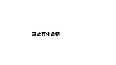 高中化学一轮复习课件：氯及其化合物课件