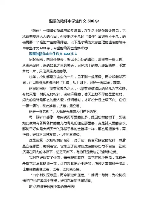 温暖的陪伴中学生作文600字