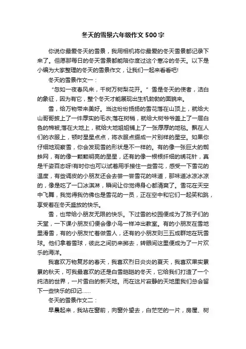 冬天的雪景六年级作文500字