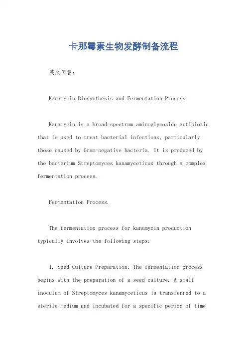卡那霉素生物发酵制备流程