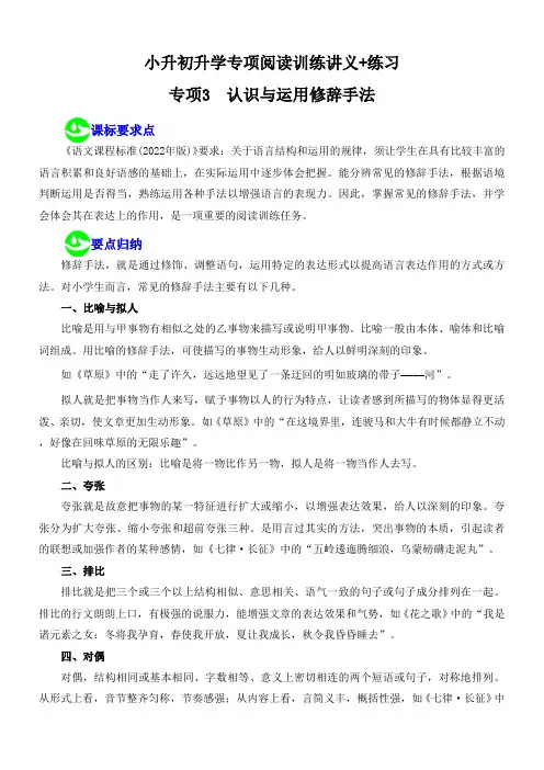 2024年小升初语文升学专项阅读训练讲义练习专项3《认识与运用修辞手法》