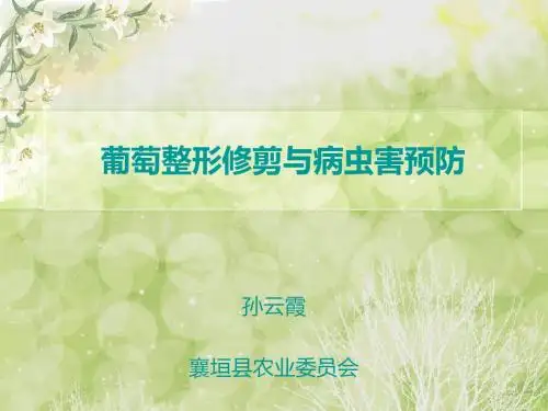 葡萄整形修剪与病虫害防治