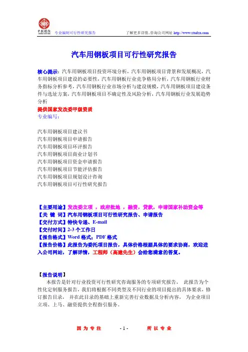 汽车用钢板项目可行性研究报告